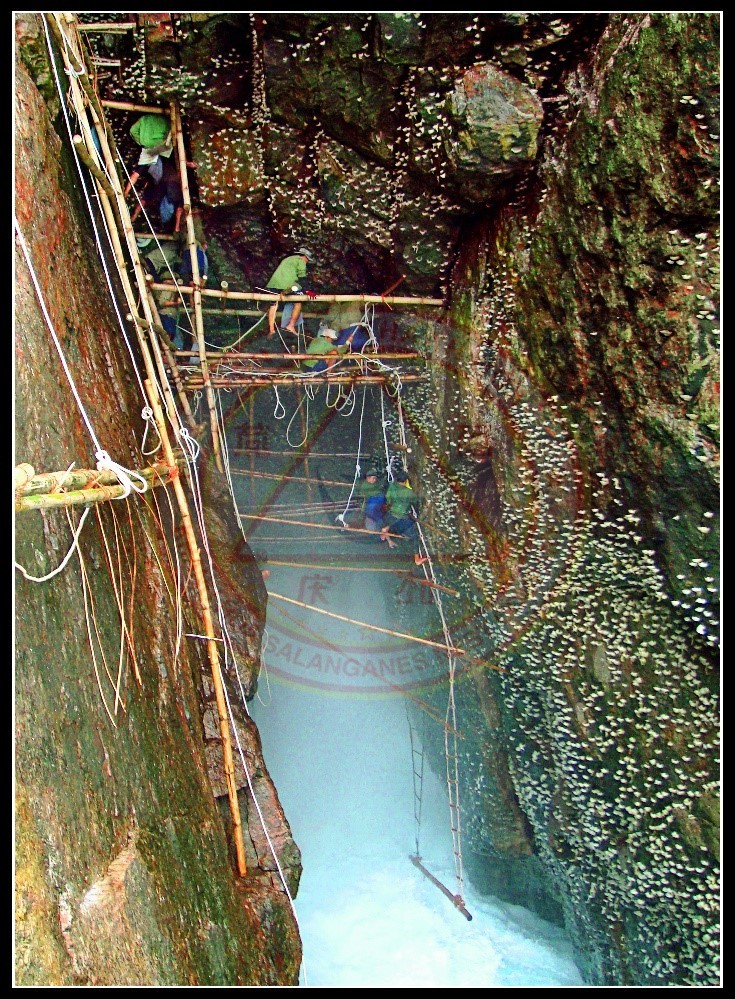 Công ty Yến sào Khánh Hòa thu hoạch tổ yến ở đảo yến Hòn Nội