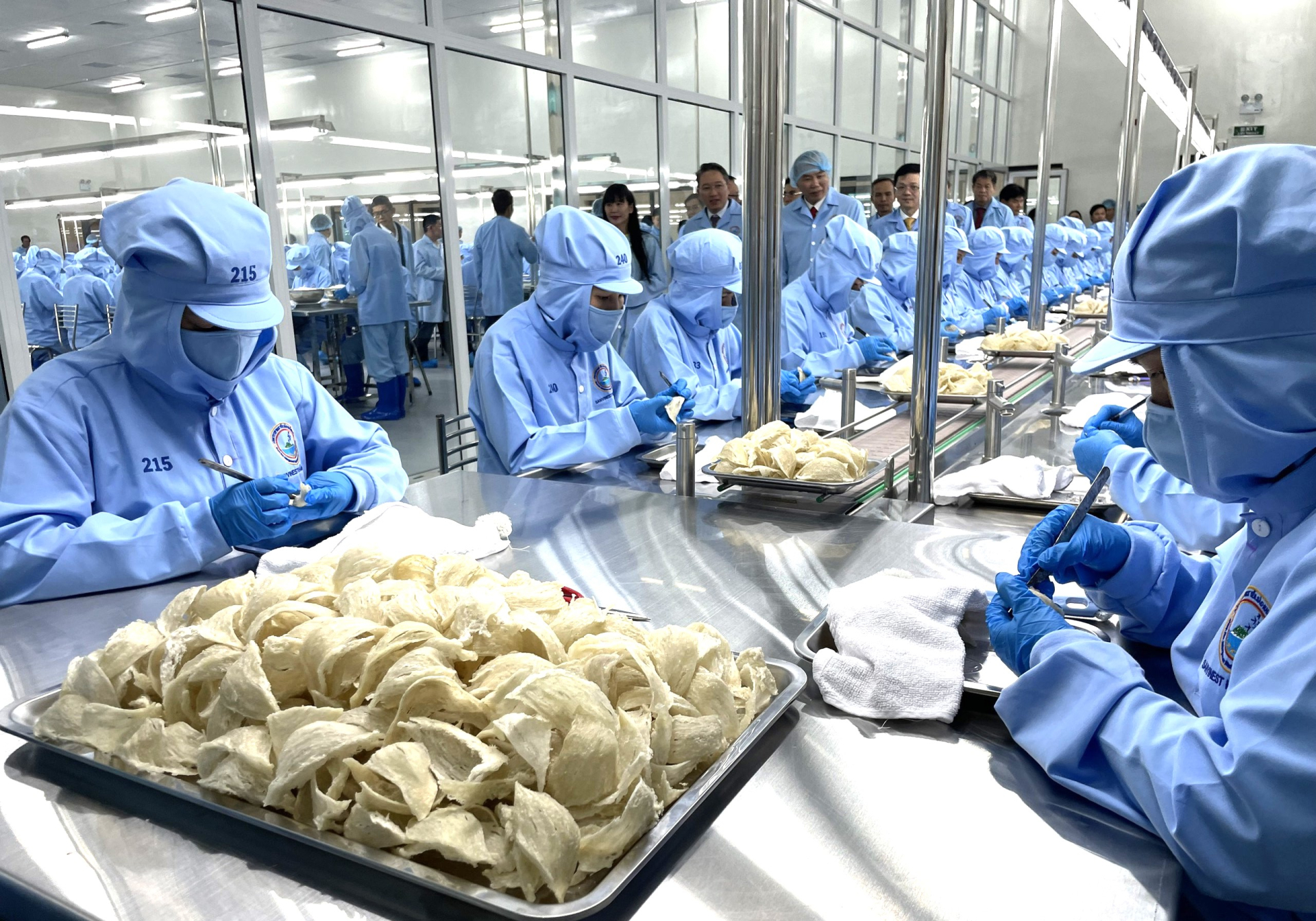 Tri thức khai thác, chế biến yến sào Khánh Hòa là Di sản Văn hóa phi vật thể Quốc gia