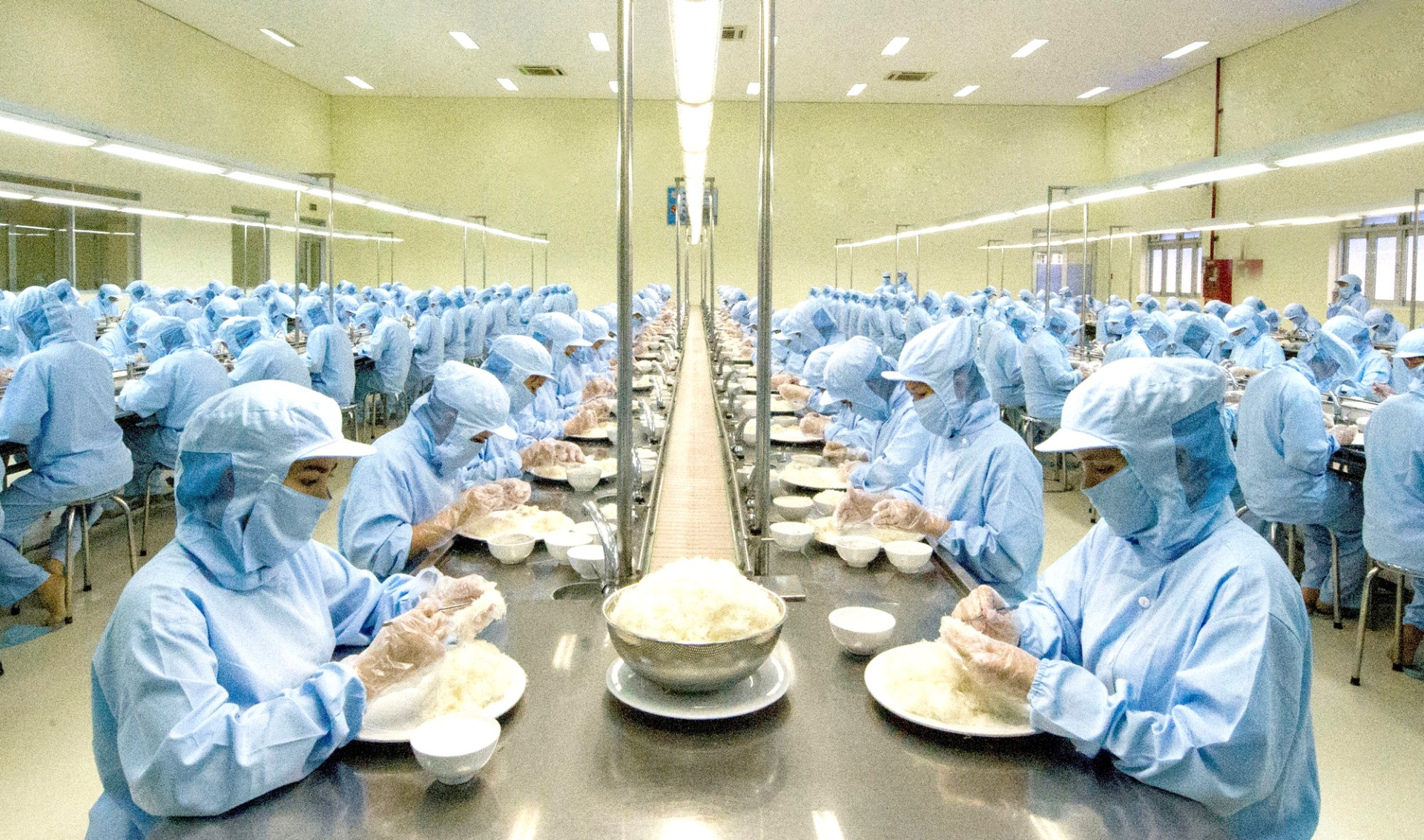 Xưởng sản xuất yến sào tinh chế của Công ty Yến sào Khánh Hòa