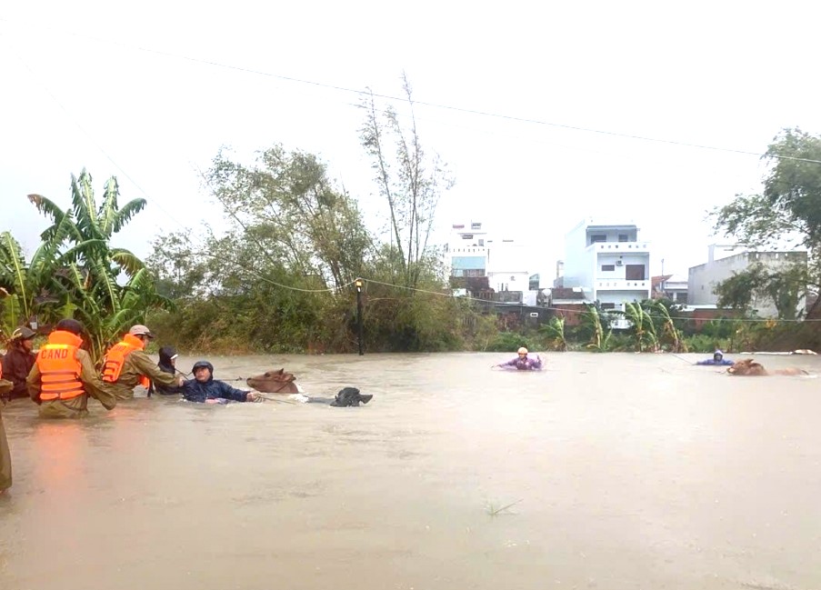 Lực lượng cứu hộ đang cứu người dân phường Phú Yên, Đắk Lắk trong lũ lụt vừa qua...