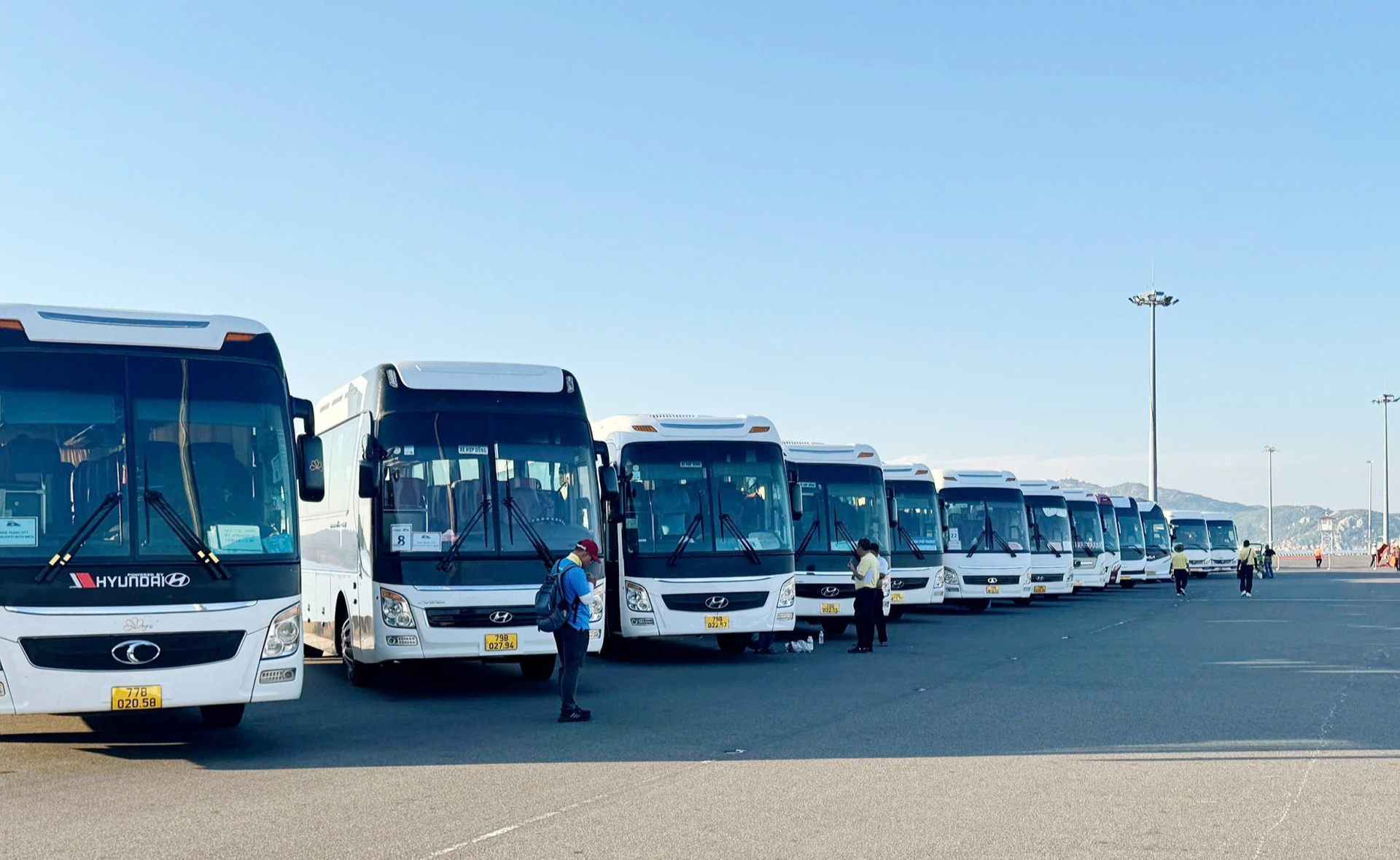Dàn xe trung chuyển của Công ty TNHH TM và Dịch vụ lữ hành Saigontourist đang chờ đón du khách ở cảng Cam Ranh