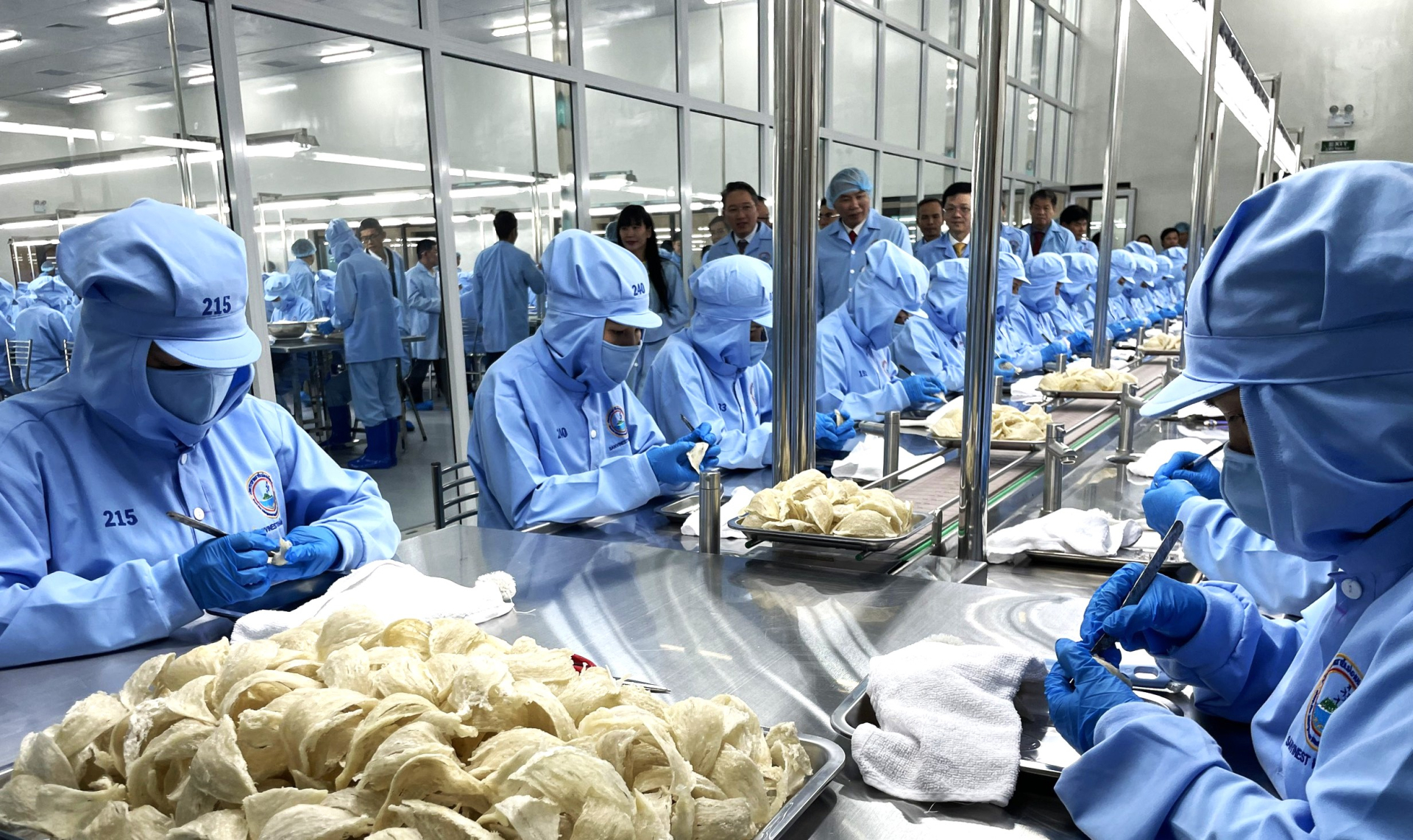 Tri thức ngành nghề khai thác yến sào Khánh Hòa- Di sản văn hóa phi vật thể Quốc gia 
