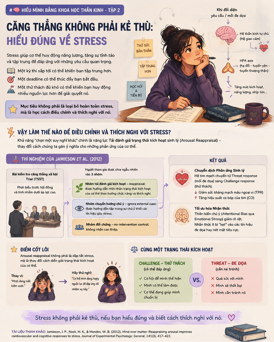 Hiểu đúng về stress để thấy không phải lúc nào stress cũng có hại C