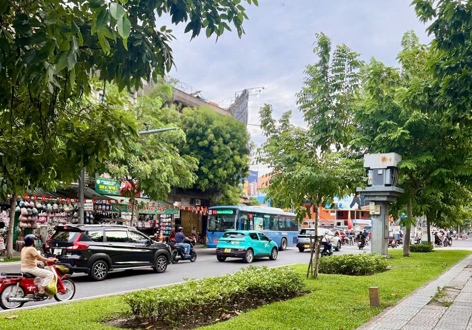 Người dân thành phố tích cực đi xe buýt vì tiện lợi