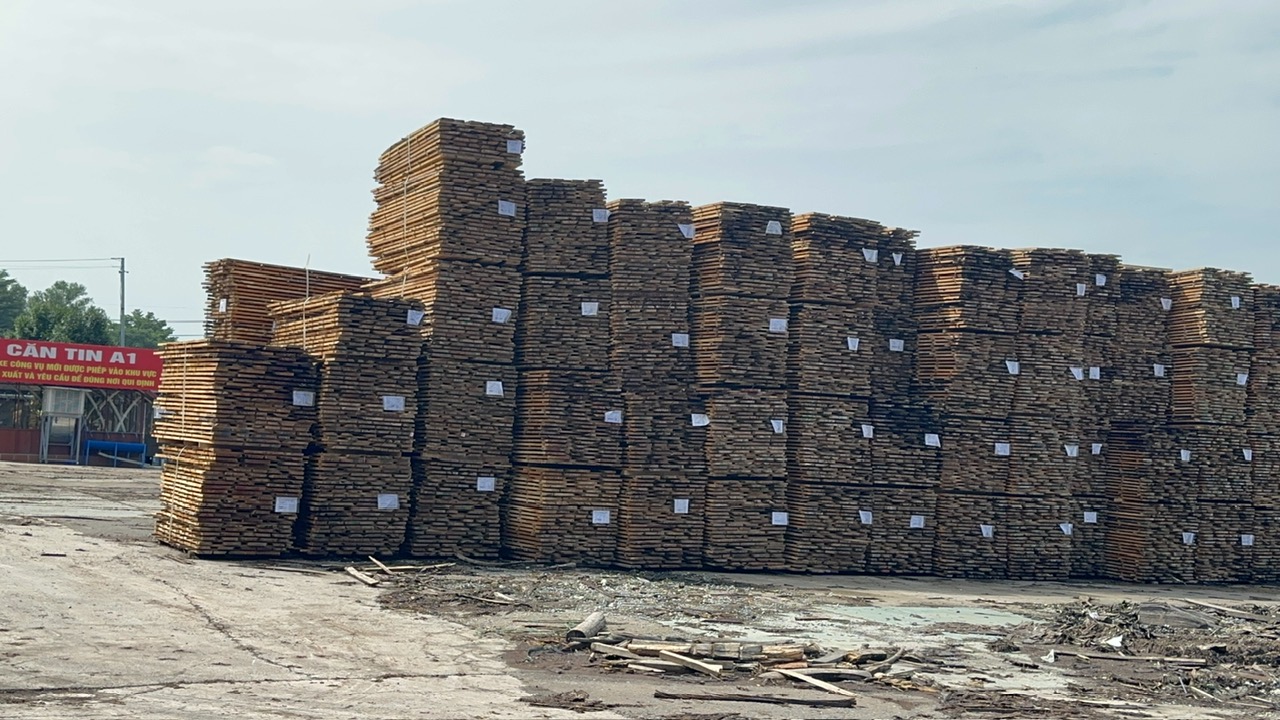 Xưởng phân phối gỗ hợp pháp của Tavico