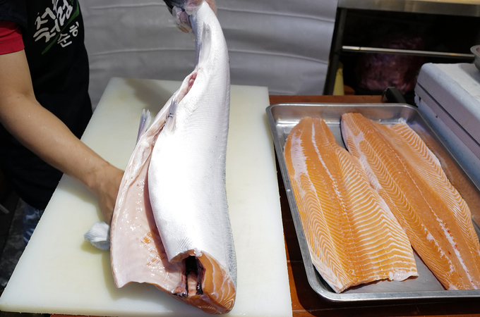Loại cá hồi được sử dụng khoảng 10kg mới có thớ thịt lớn.