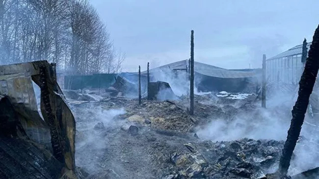  ĐSQ xác minh danh tính 8 người chết vì hỏa hoạn ở Nga, nghi toàn bộ là người Việt Nam