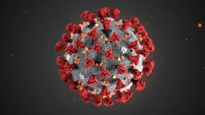   Virus gây ra dịch covid-19 được biết đến với tên SARS-CoV-2. Ảnh: SCIENCE SOURCE  