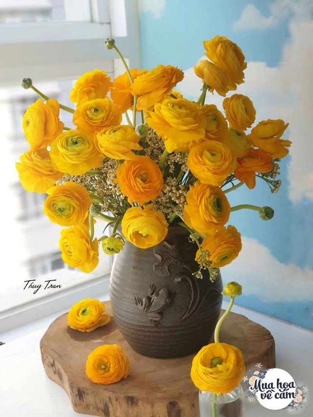   Chị Thủy Trần lại lựa cho mình bó hoa mao lương màu vàng bông tròn xêm xêm xong vô cùng nổi bật. Chiếc bình hoa màu nâu đất càng tôn lên vẻ quý phái vốn có của loài hoa mao lương.  