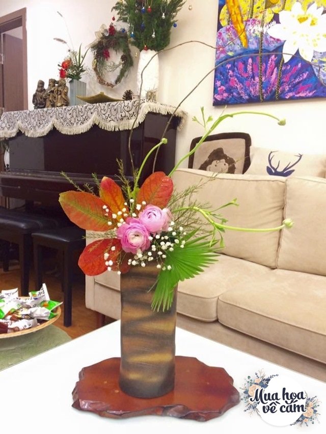  Chị Thu Hà cho rằng loại hoa tròn trình đáng yêu này rất phù hợp với phòng khách, phòng ngủ.  