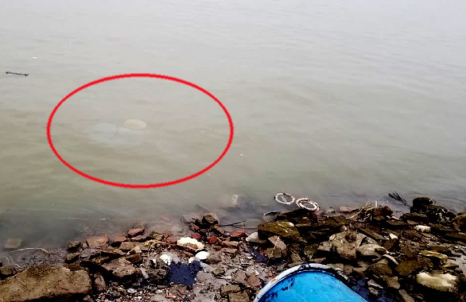 Hà Nội: Phát hiện hàng chục thùng phuy nghi chứa chất chất độc hại đổ xuống sông Hồng
