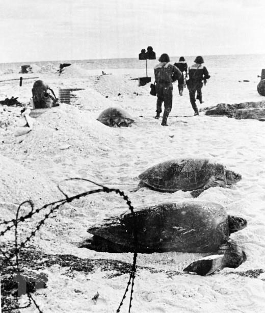    Lực lượng Đặc công hải quân Đoàn 126 tấn công giải phóng đảo Sơn Ca, quần đảo Trường Sa, ngày 25/4/1975. Ảnh: Lê Nhật - TTXVN phát  