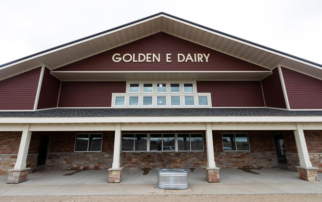 Nhiều nông trại nuôi bò sữa ở Mỹ được đề nghị phải đổ bỏ hàng chục ngàn lít sữa mỗi ngày