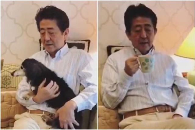   Thủ tướng Abe đăng tải đoạn video ngồi uống trà và ôm thú cưng. (Ảnh: Twitter)  