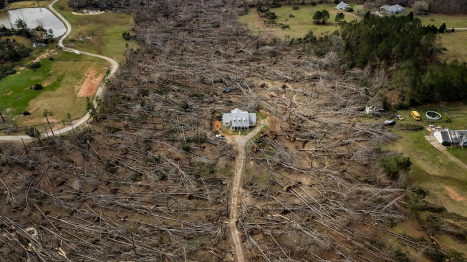 Matt Gillespie nhận được lượt bình chọn nhiều nhất với bức ảnh chụp một ngôi nhà tại Ellerslie, Georgia.  Dù hầu hết cây cối xung quanh đã bị quật ngã, căn nhà vẫn kiên cường chiến thắng cơn bão lớn.
