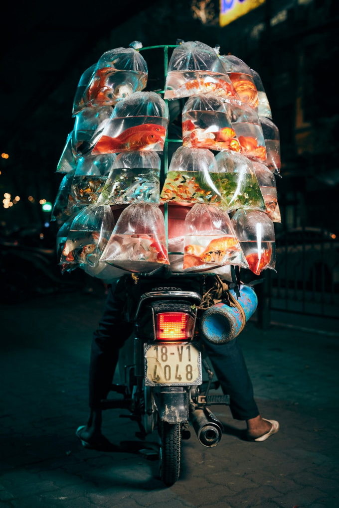 Bức ảnh chiến thắng của năm được nhiếp ảnh gia người Anh Jon Enoch chụp tại Hà Nội trong một dịp đến Việt Nam du lịch và tìm kiếm cảm hứng nhiếp ảnh. Đó là hình ảnh chiếc xe bán cá trên đường phố. Nhiếp ảnh gia Jon Enoch đã rất ngạc nhiên với kỹ năng chở đồ của những người bán hàng trên xe máy ở Việt Nam.