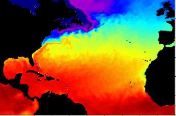 Theo Cơ quan Quản lý Khí quyển và Đại dương Quốc gia Mỹ (NOAA), màu đỏ càng đậm chứng tỏ nước biển ở khu vực đó càng nóng. Ảnh: NOAA.