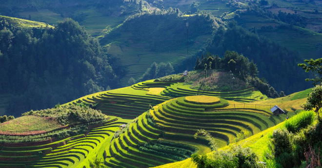 Một ngôi làng ở Việt Nam nằm trong danh sách những nơi đẹp nhất nên ghé thăm sau dịch Covid-19