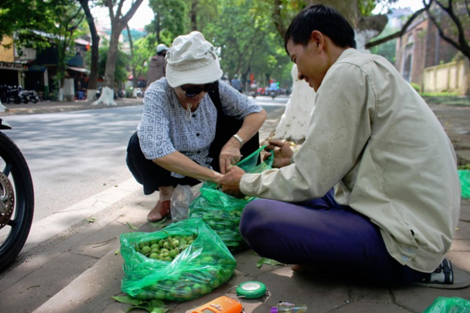 Trèo sấu ở Hà Nội thu nhập hơn trăm triệu mỗi mùa 