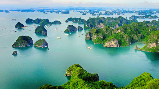 Giữa tháng 6 vừa qua, vịnh Hạ Long (Quảng Ninh) xuất hiện trong danh sách 20 địa điểm du lịch bụi tốt nhất thế giới năm 2020 do trang du lịch Hostelworld đưa ra.