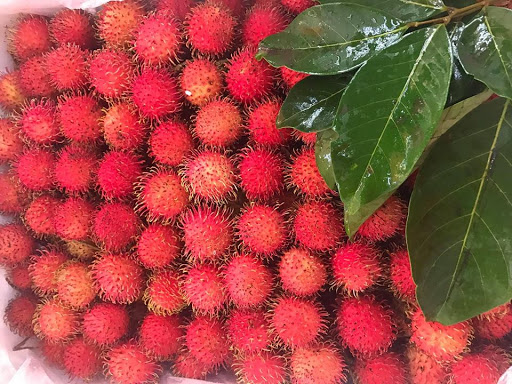 6 loại trái cây tươi ở Việt Nam 