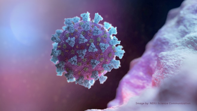 Hình ảnh virus Corona chủng mới (SARS-CoV-2) được mô phỏng trên máy vi tính