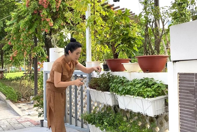Á hậu Trịnh Kim Chi bội thu từ giàn rau 3 triệu đồng
