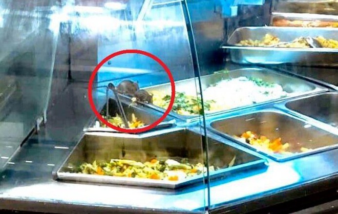 Hình ảnh chuột bò trên khay thức ăn tại Aeon Mall Tân Phú. Ảnh: T.T.B.