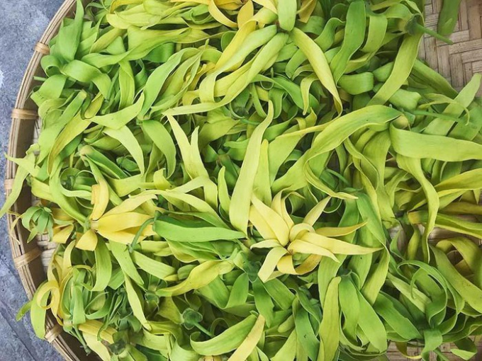   Hoa hoàng lan được nhiều người ở Hà Nội lùng mua về cúng Rằm tháng 7  