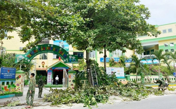   Lực lượng Bộ đội Biên phòng Quảng Bình hỗ trợ cán bộ, giáo viên trường học trên địa bàn chặt tỉa cành cây xanh. (Ảnh: Võ Dung/TTXVN)  