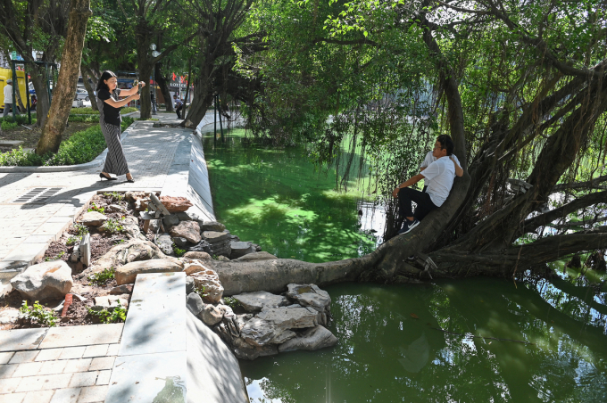 Khu vực cây xanh sà xuống mặt hồ, được xếp đá cảnh giống như hòn non bộ.