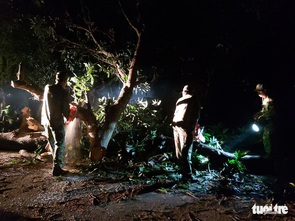 Đoàn cứu hộ cơ động lên huyện Nam Trà My phát cây dọn đường để tiếp cận hiện trường. Ảnh: P.L