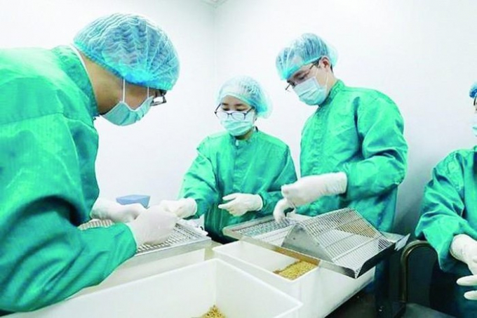   Các doanh nghiệp Việt Nam nỗ lực trong cuộc chạy đua sản xuất vắc-xin- Ảnh: D.Ngân  