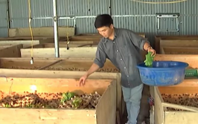 Thanh niên Hà Nội thu tiền tỷ mỗi năm nhờ vào nghề nuôi côn trùng