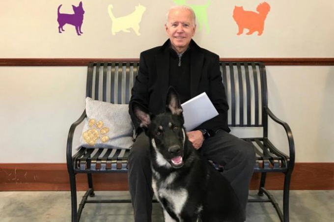 Ông Joe Biden bị trật mắt cá trong lúc chơi đùa với chú chó cưng