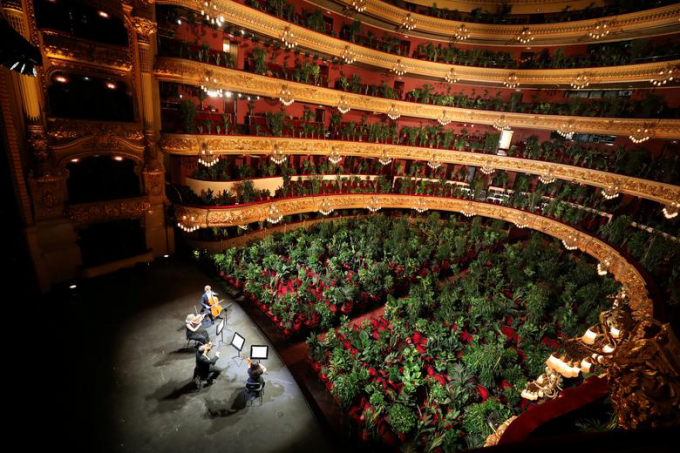Hình ảnh một buổi diễn tập trước khi nhà hát Gran Teatre del Liceu tổ chức buổi hòa nhạc nhằm tôn vinh tầm quan trọng của khán giả sau khi áp dụng biện pháp hạn chế chống dịch COVID-19 ở Barcelona, Tây Ban Nha ngày 22-6-2020.