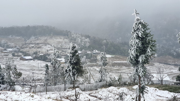 Tuyết rơi phủ trắng xóa cả bản làng, núi rừng vùng cao