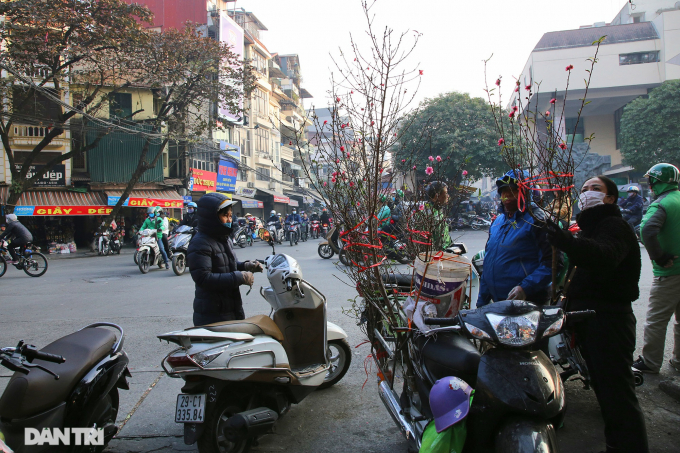   Đào bích có sắc đỏ thắm rực rỡ dưới ánh nắng sớm trong khu phố cổ Hà Nội.  