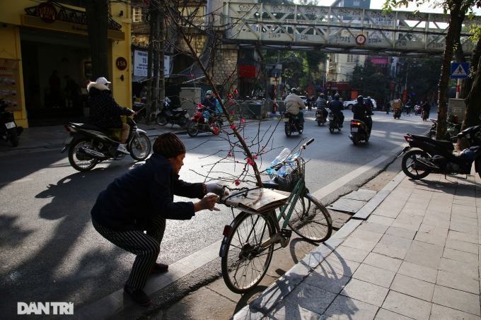   Những cành đào len lỏi khắp các con phố thủ đô Hà Nội.  