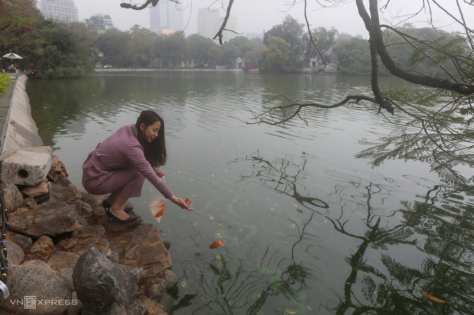 Người dân thả cá tại hồ Hoàn Kiếm.