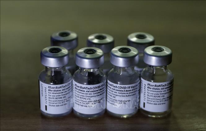 Vaccine ngừa COVID-19 của Pfizer. Ảnh: AFP/TTXVN