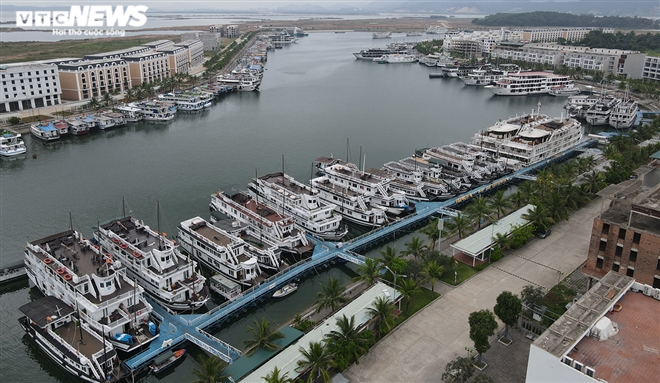  Hơn 300 tàu du lịch với đủ loại từ vài tỷ đồng đến hàng chục tỷ đồng nằm im trong âu cảng tàu khách quốc tế Tuần Châu.  