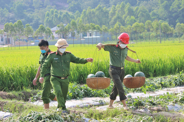 Công an ở Bắc Giang giúp người dân thu hoạch 8,5 tấn dưa 
