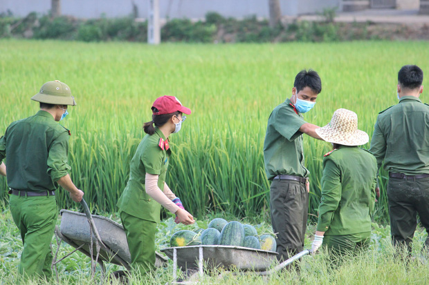 Công an ở Bắc Giang giúp người dân thu hoạch 8,5 tấn dưa 