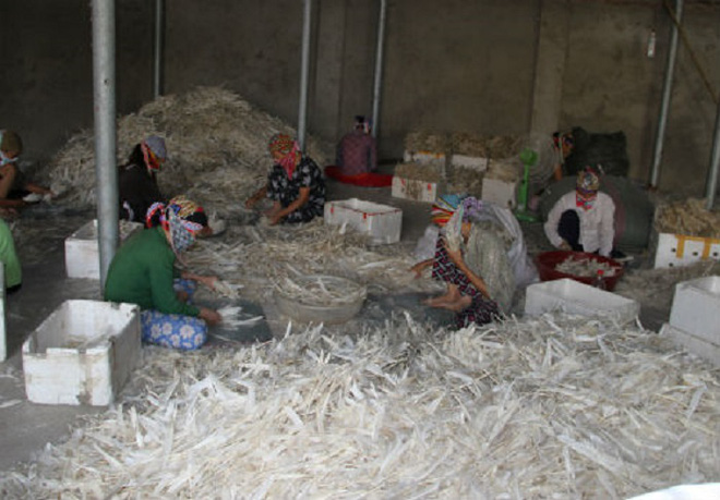 Chỉ trong 6 tháng, Trung Quốc mua 4.000 tấn lông gà, lông vịt từ Việt Nam