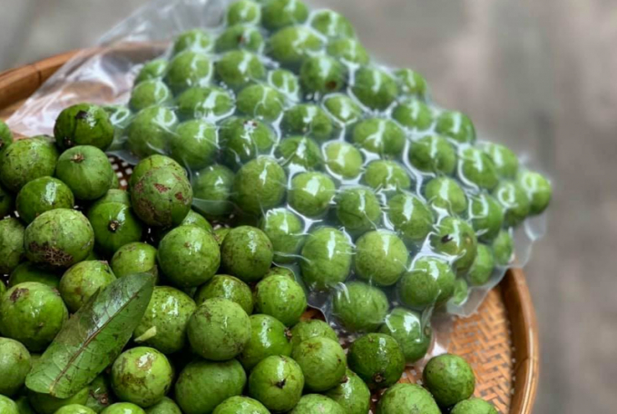 Việt Nam lần đầu tiên xuất khẩu quả sấu đông lạnh sang Australia