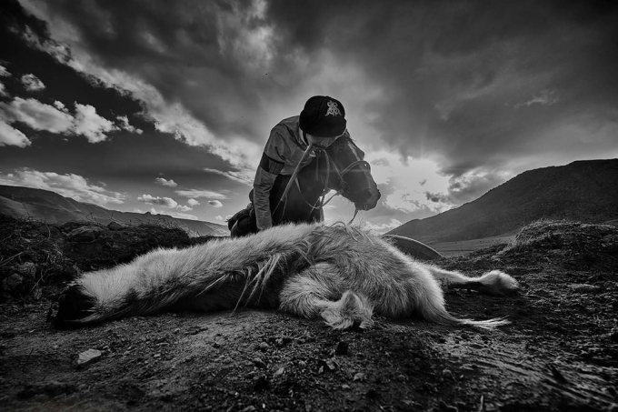           Bức ảnh con dê chết trong trò chơi Kok Boru của Alain Schroeder giành giải nhì. Kok Boru là môn thể thao quốc gia của Kyrgyzstan có nguồn gốc từ cuộc sống du mục, thể hiện cách người dân bảo vệ gia súc khỏi những con sói săn mồi, đồng thời rèn khả năng chiến đấu.          