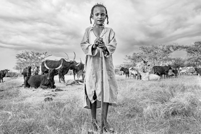           Một cậu bé người Wodaabe đang thể hiện niềm tự hào khi đứng trước đàn bò Zebu sừng to của gia đình.          