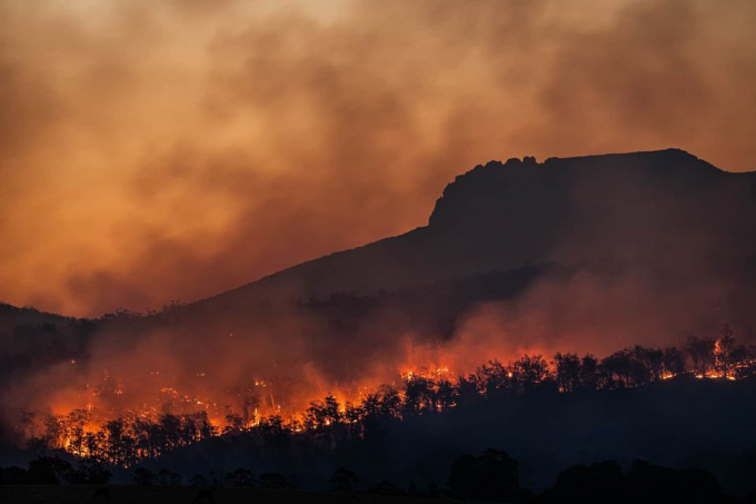           Trong ảnh là những cơn cháy rừng dai dẳng đang hoành hành bên dưới đỉnh Stacks Bluff ở Tasmania, Australia. Tác phẩm giúp nhiếp ảnh gia Mark Palmer (Australia) giành chiến thắng hạng mục Dự án ảnh.           