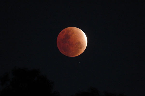 Có thể thấy ở thời điểm cực đại của nguyệt thực, gần như toàn bộ Mặt Trăng chuyển sang màu đỏ sẫm. Đó cũng là lý do nhiều người gọi đây là hiện tượng trăng máu.